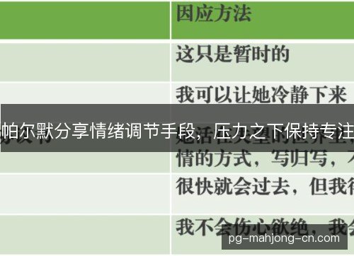 帕尔默分享情绪调节手段，压力之下保持专注